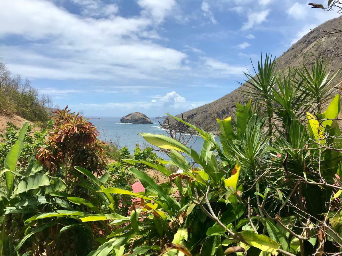 Villa Figues Et Mangos Terre-De-Haut Dış mekan fotoğraf