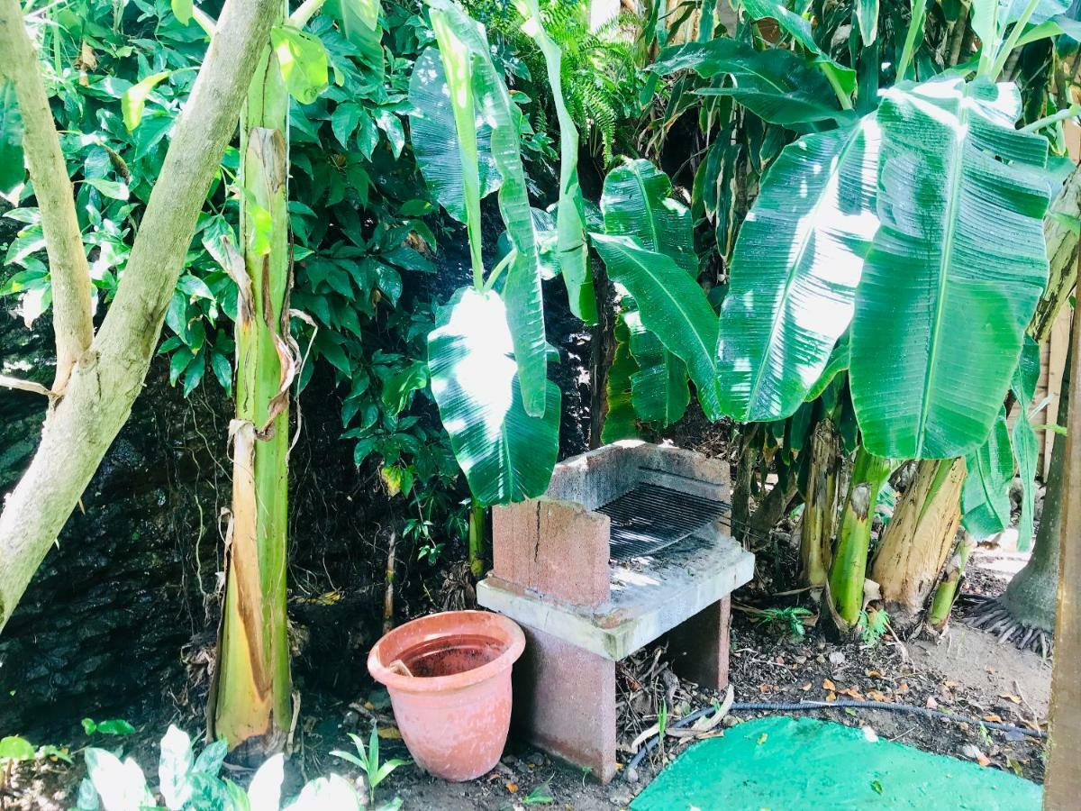 Villa Figues Et Mangos Terre-De-Haut Dış mekan fotoğraf
