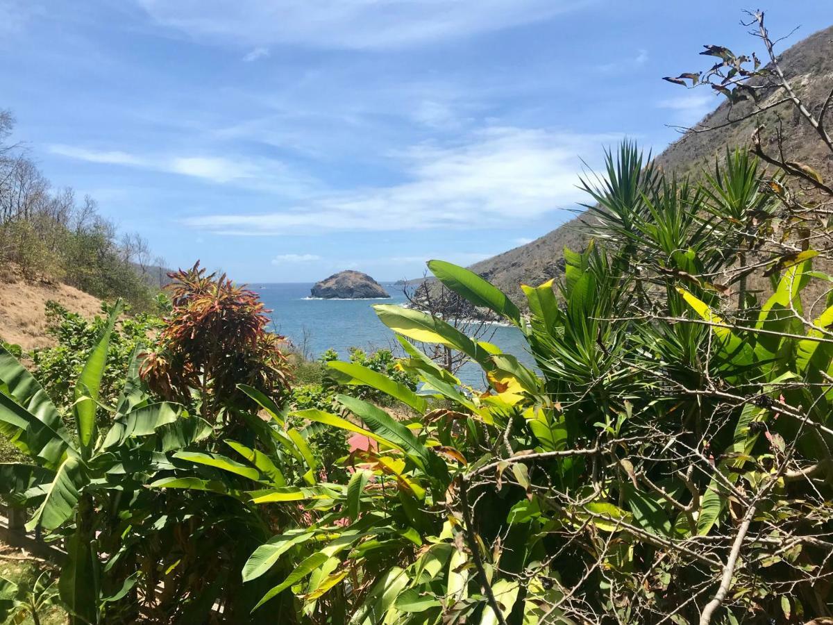 Villa Figues Et Mangos Terre-De-Haut Dış mekan fotoğraf